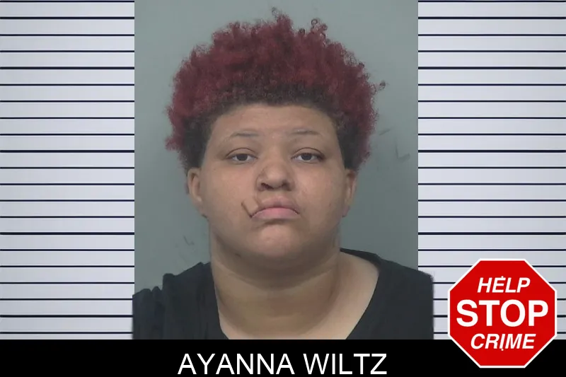 Ayanna Wiltz mugshot – Gwinnett County , Georgia Ayanna Wiltz mugshot