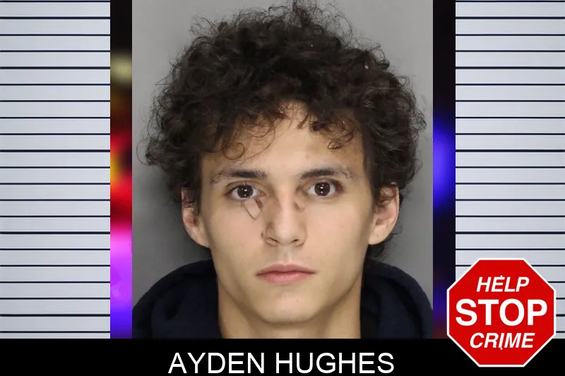 Ayden Hughes Mugshots