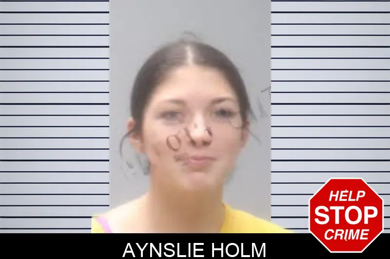 Aynslie Holm mugshot