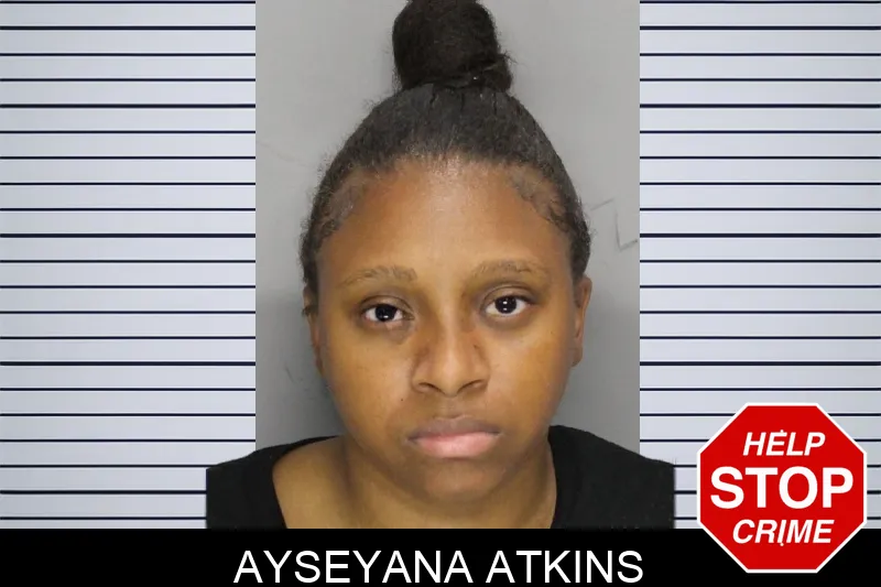 Ayseyana Atkins mugshot