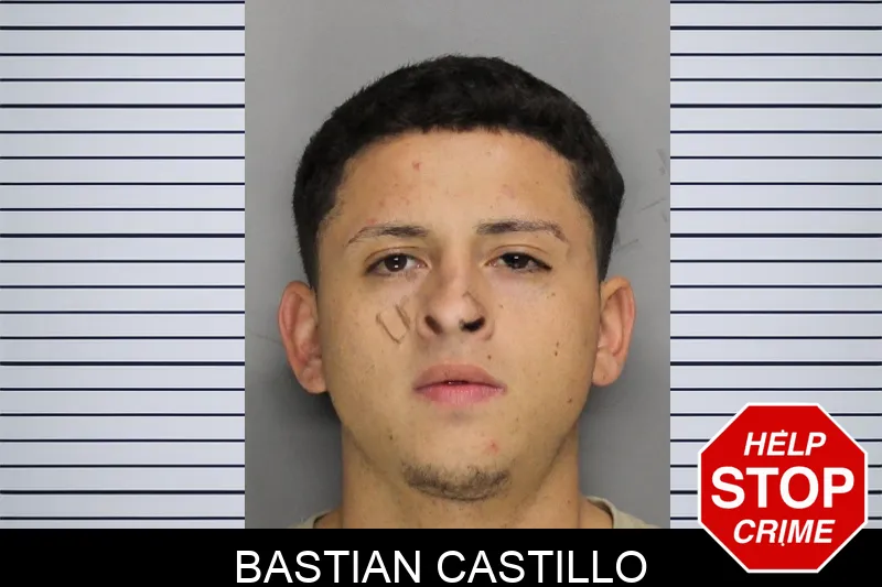 Bastian Castillo mugshot