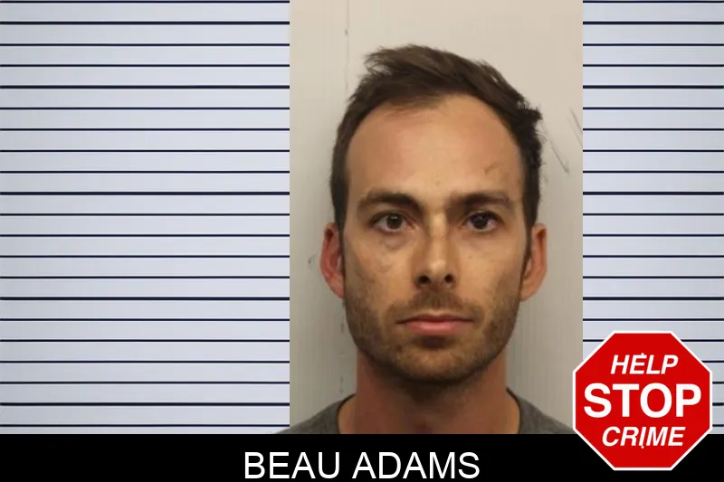 Beau Adams mugshot