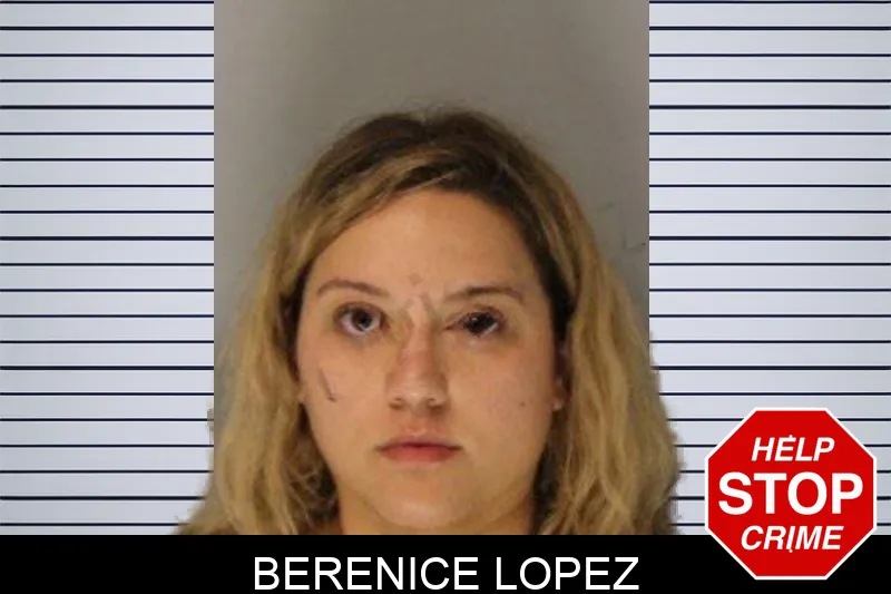 Berenice Lopez mugshot – Hall County , Georgia Berenice Lopez mugshot