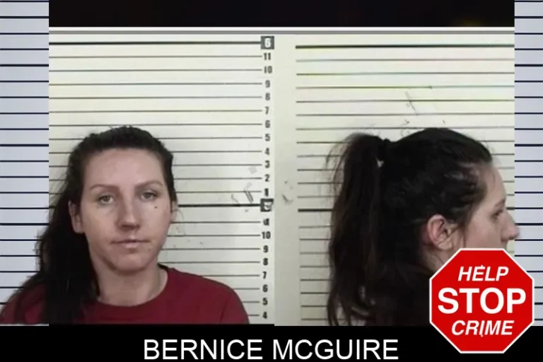 Bernice McGuire mugshot – Camden County , Georgia Bernice McGuire