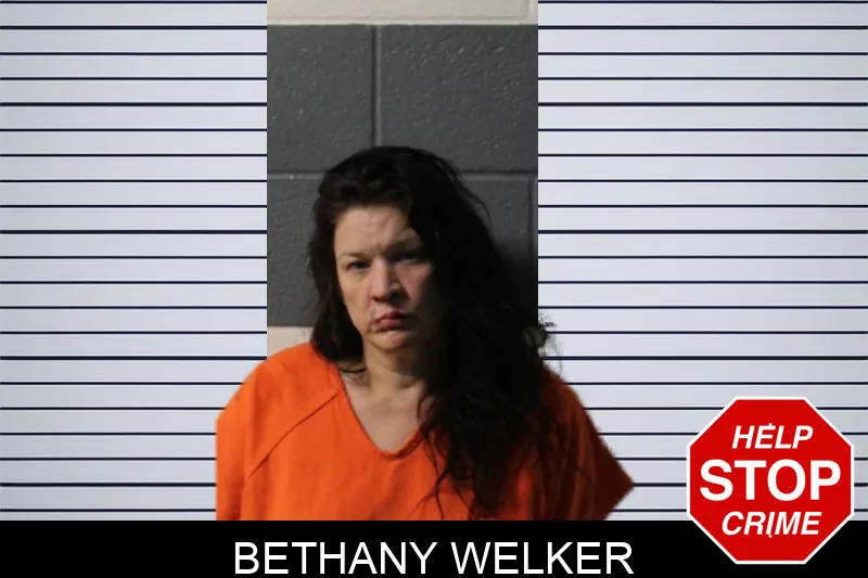 Bethany Welker Mugshots