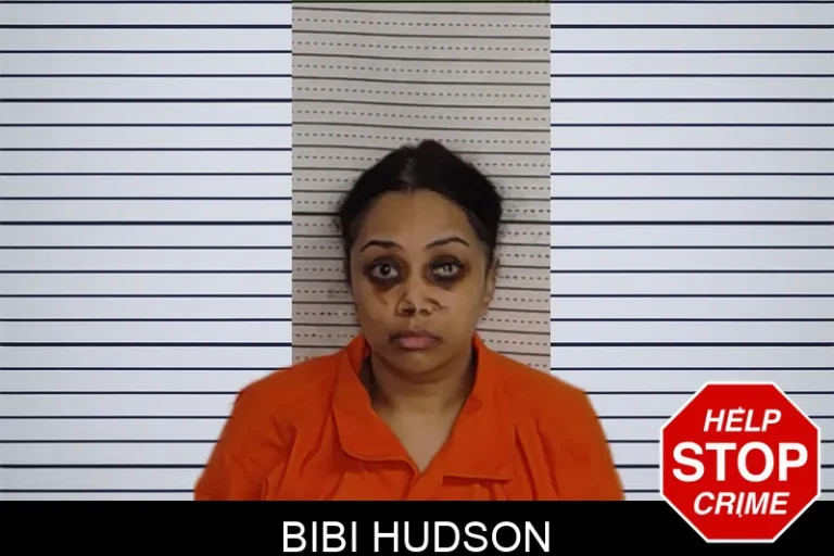 Bibi Hudson