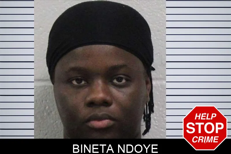 Bineta Ndoye mugshot – Carroll County , Georgia Bineta Ndoye mugshot