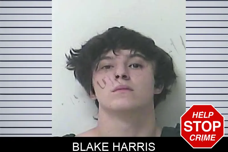 Blake Harris Mugshots