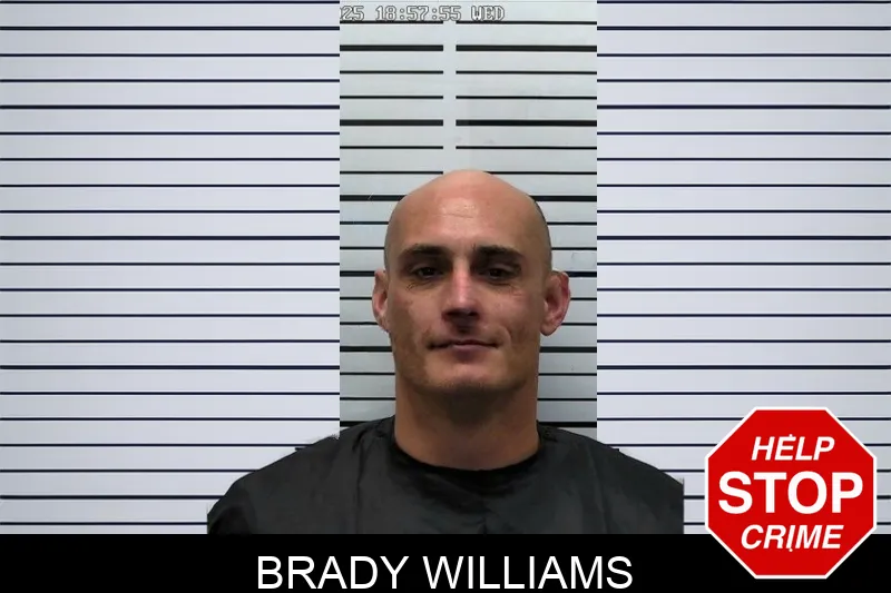 Brady Williams Mugshots