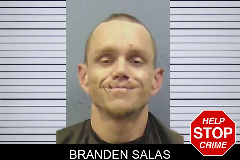 Branden Salas Mugshots