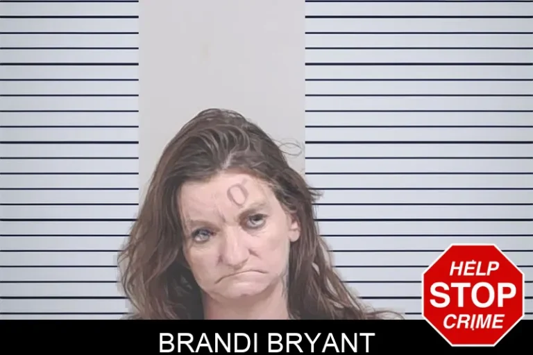 Brandi Bryant mugshot – Lowndes County , Georgia Brandi Bryant