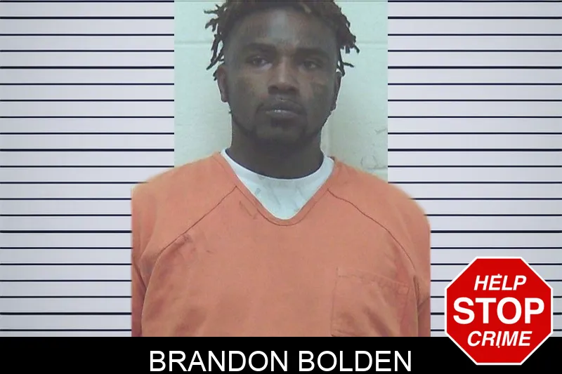 Brandon Bolden Mugshots