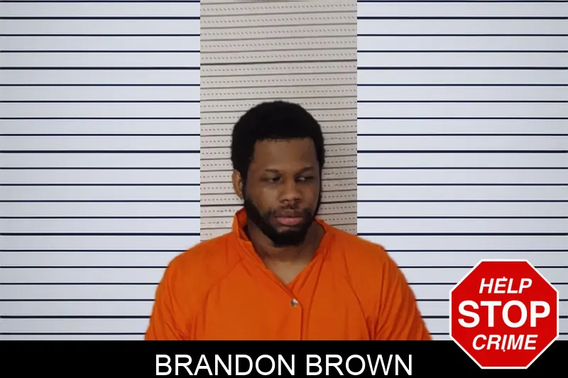 Brandon Brown