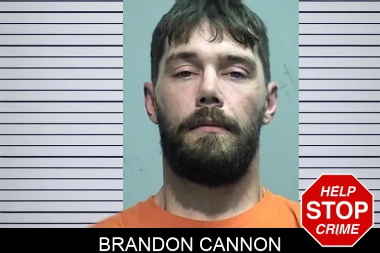 Brandon Cannon mugshot β Effingham County , Georgia Brandon Cannon