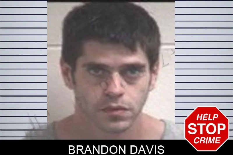 Brandon Davis mugshot – Henry County , Georgia Brandon Davis mugshot