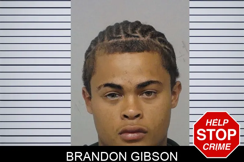 Brandon Gibson mugshot
