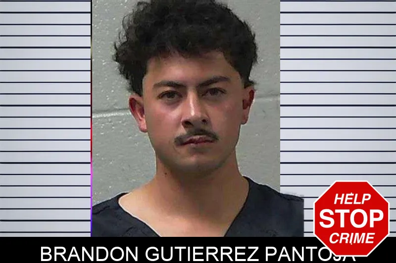 Brandon Gutierrez Pantoja