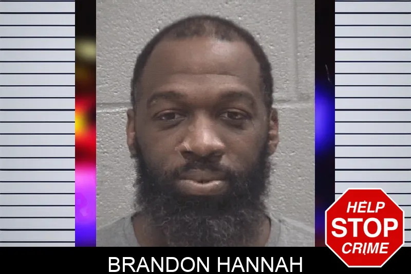 Brandon Hannah mugshot