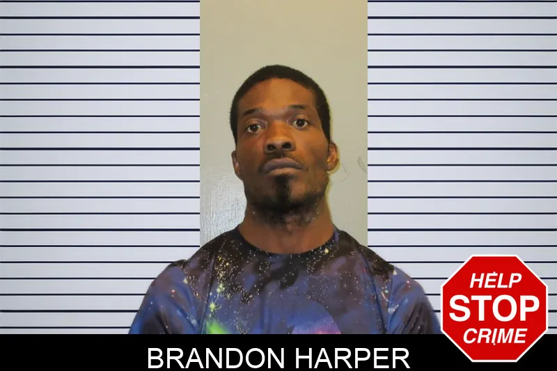 Brandon Harper Mugshots