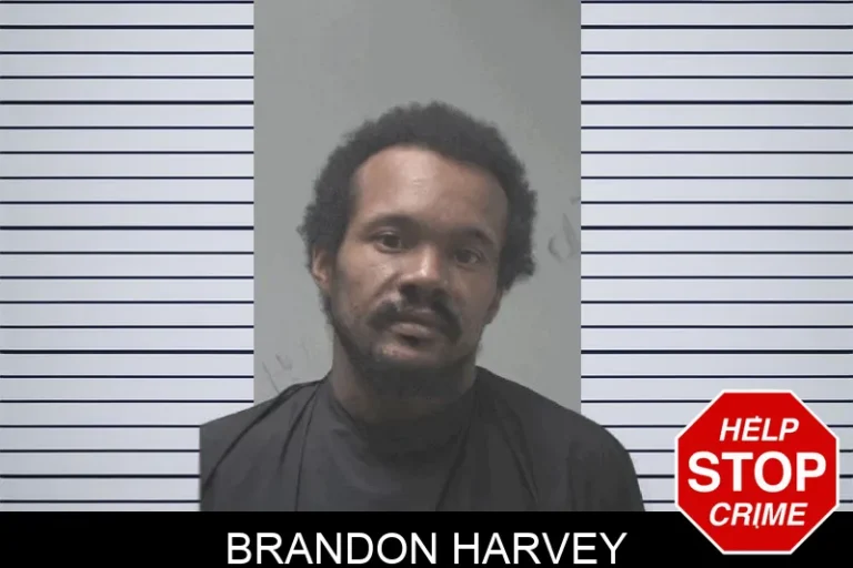 Brandon Harvey