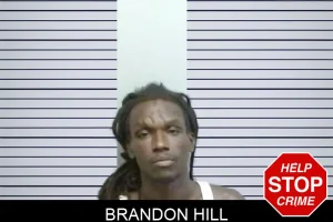 Brandon Hill mugshot