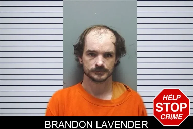 Brandon Lavender mugshot – Cherokee County , Georgia Brandon Lavender