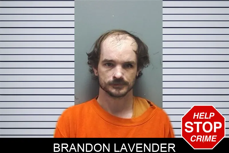 Brandon Lavender Mugshots
