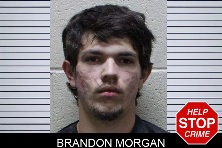 Brandon Morgan mugshot – Haralson County , Georgia Brandon Morgan