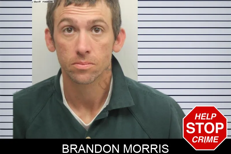 Brandon Morris mugshot