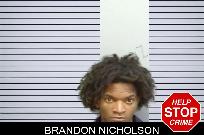 Brandon Nicholson mugshot