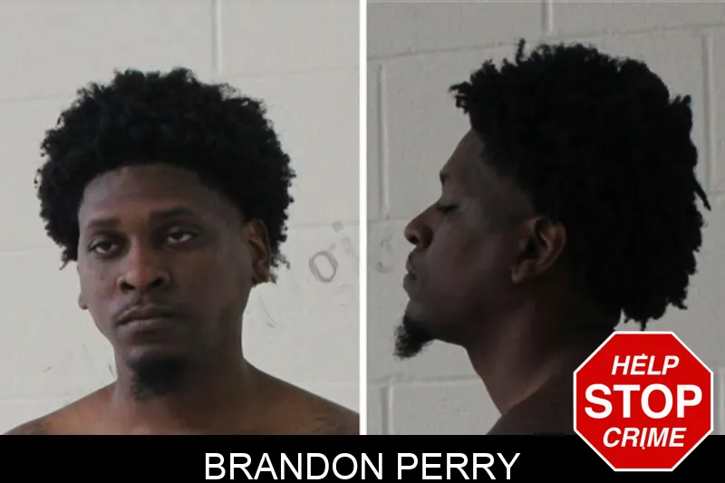 Brandon Perry mugshot