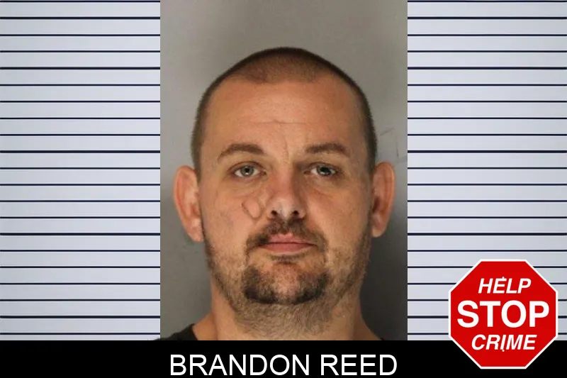 Brandon Reed Mugshots