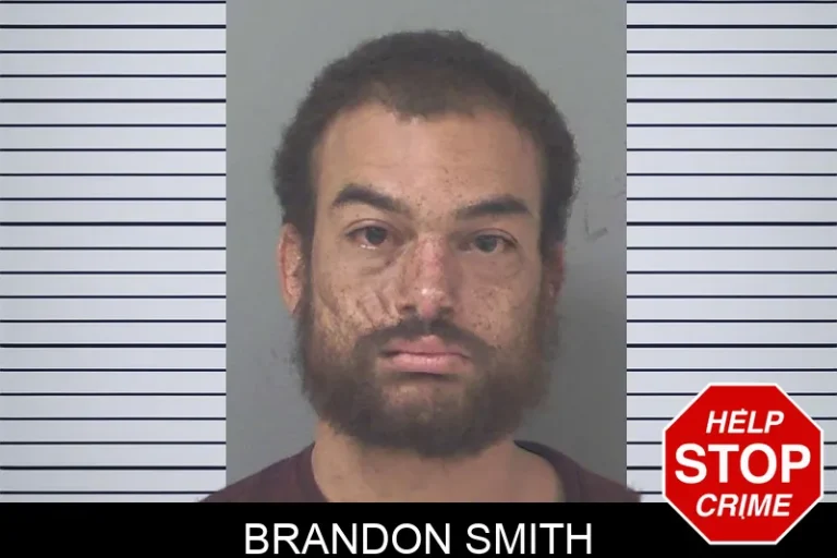 Brandon Smith mugshot – Douglas County , Georgia Brandon Smith