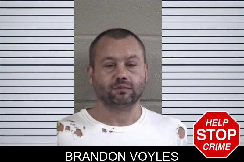 Brandon Voyles
