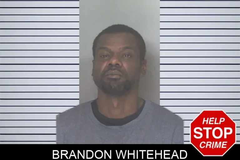 Brandon Whitehead