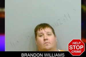 Brandon Williams mugshot