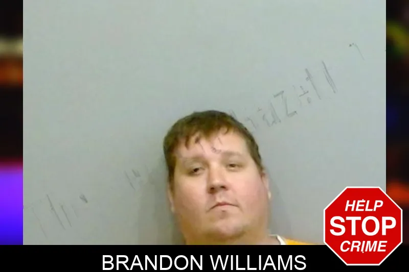 Brandon Williams mugshot