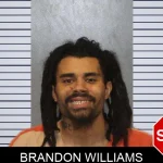 Brandon Williams Mugshots
