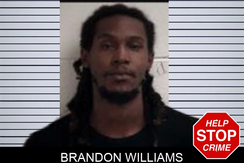 Brandon Williams Mugshots