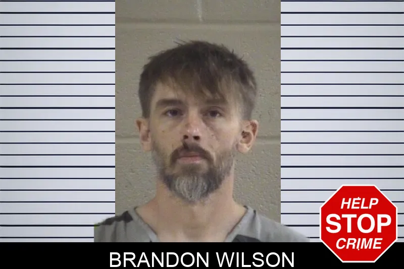 Brandon Wilson