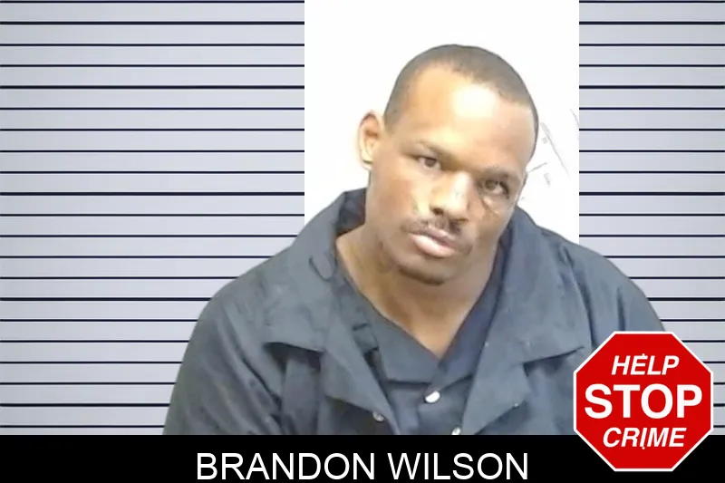 Brandon Wilson mugshot