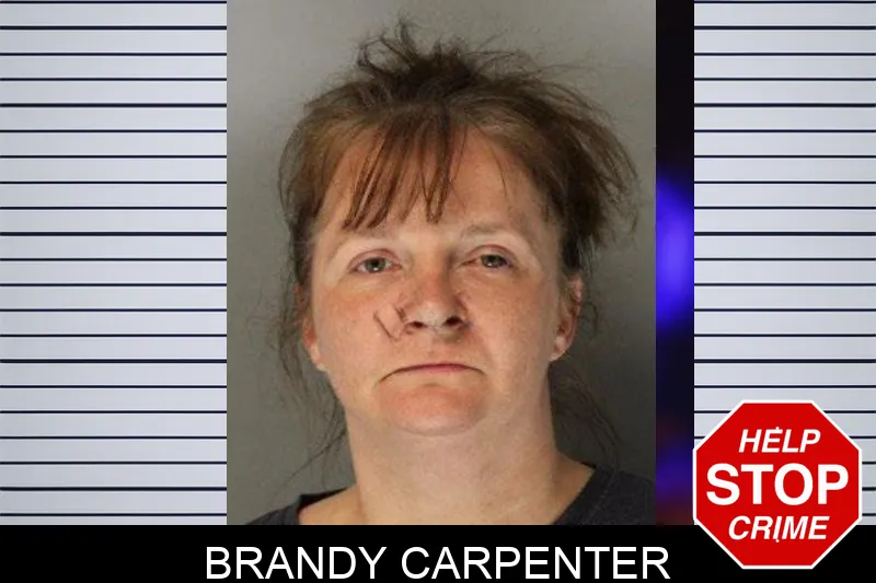 Brandy Carpenter mugshot