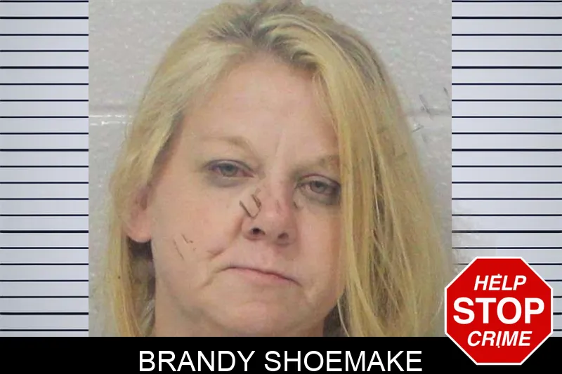 Brandy Shoemake Mugshots