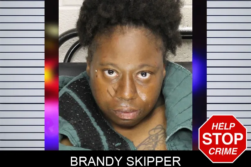 Brandy Skipper mugshot – Cobb County , Georgia Brandy Skipper mugshot