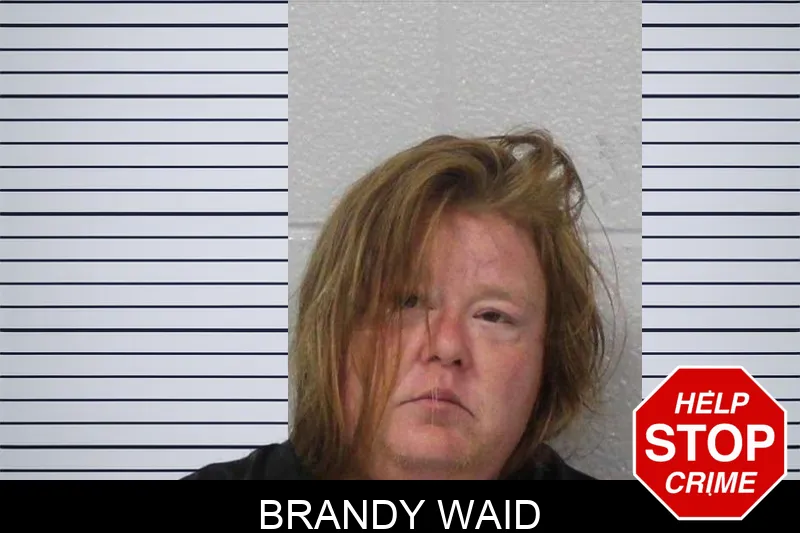 Brandy Waid