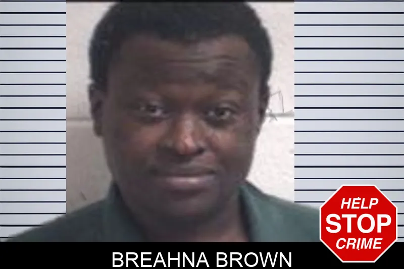 Breahna Brown mugshot – Henry County , Georgia Breahna Brown mugshot