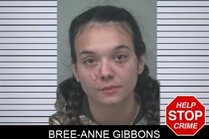 Bree-Anne Gibbons mugshot