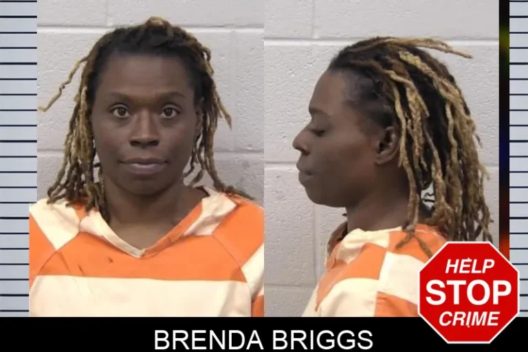 Brenda Briggs