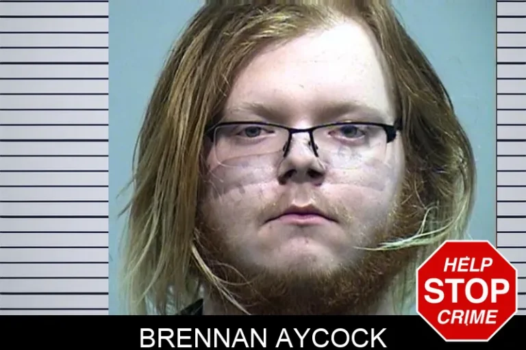 Brennan Aycock mugshot – Effingham County , Georgia Brennan Aycock