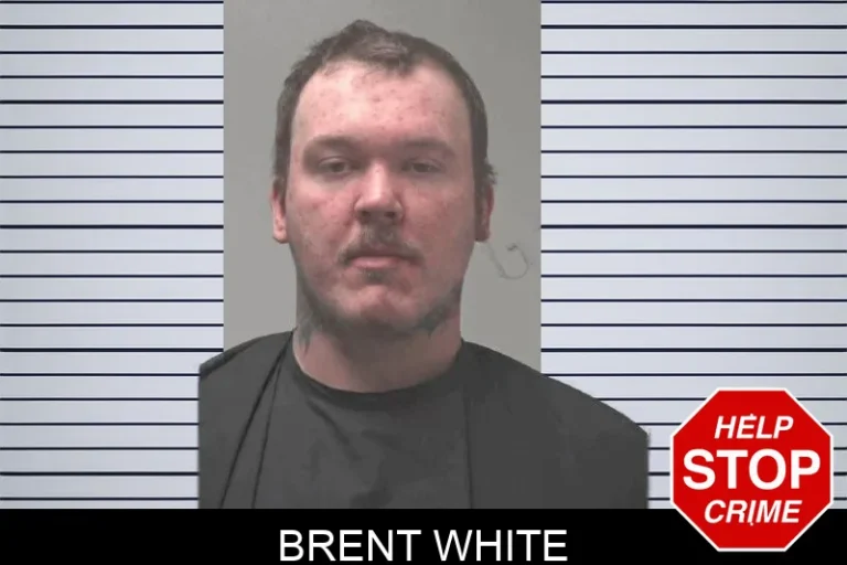 Brent White mugshot – Coweta County , Georgia Brent White